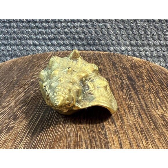 Brass Conch Shell Nautical Seashell Beach Ocean Heavy 3” Paperweight - Picture 5 of 6